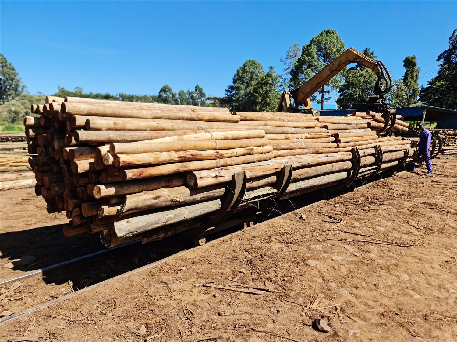Brookewood timber poles loaded for dispatch