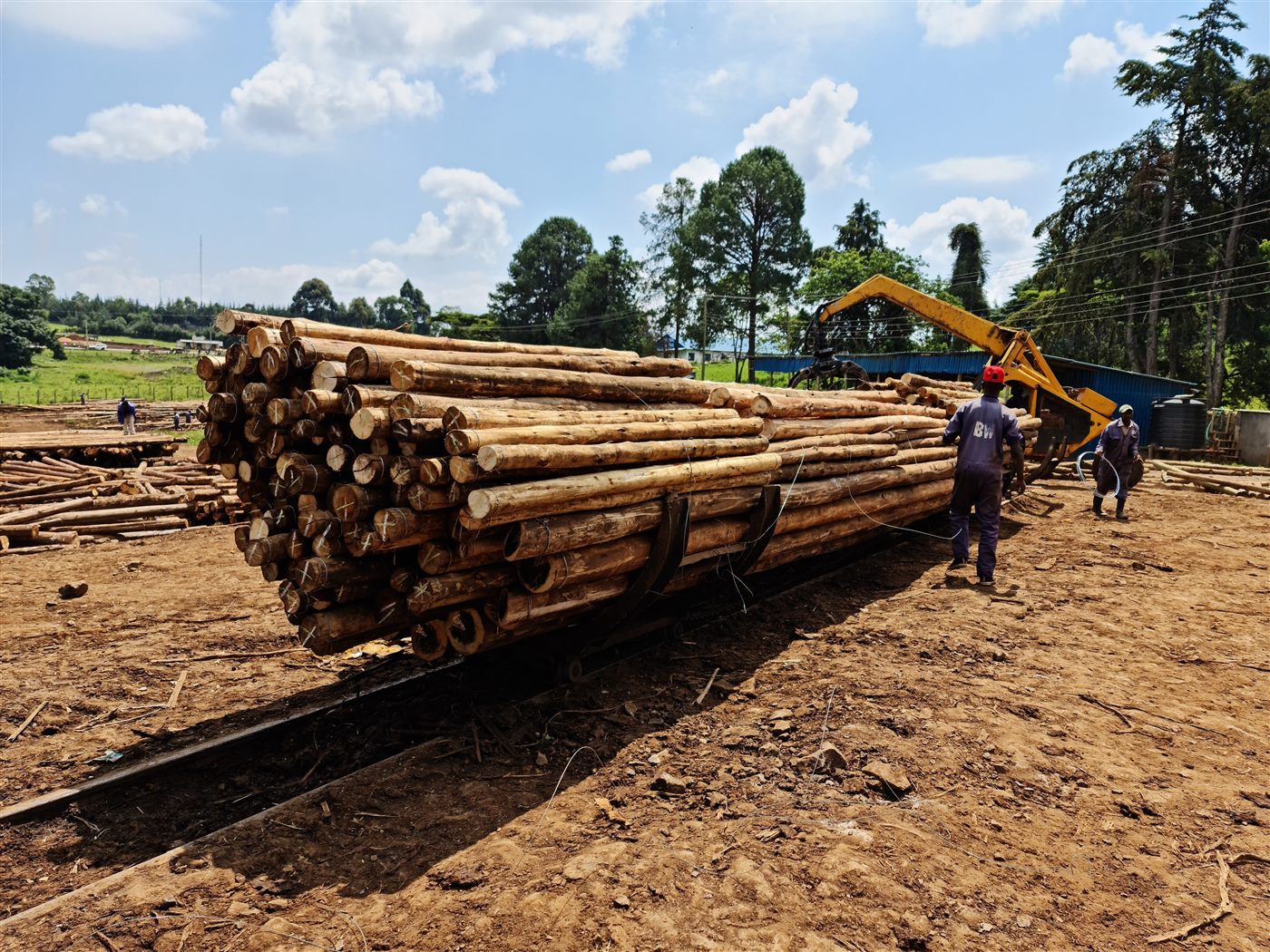 Brookewood workers and machinery handling wooden poles