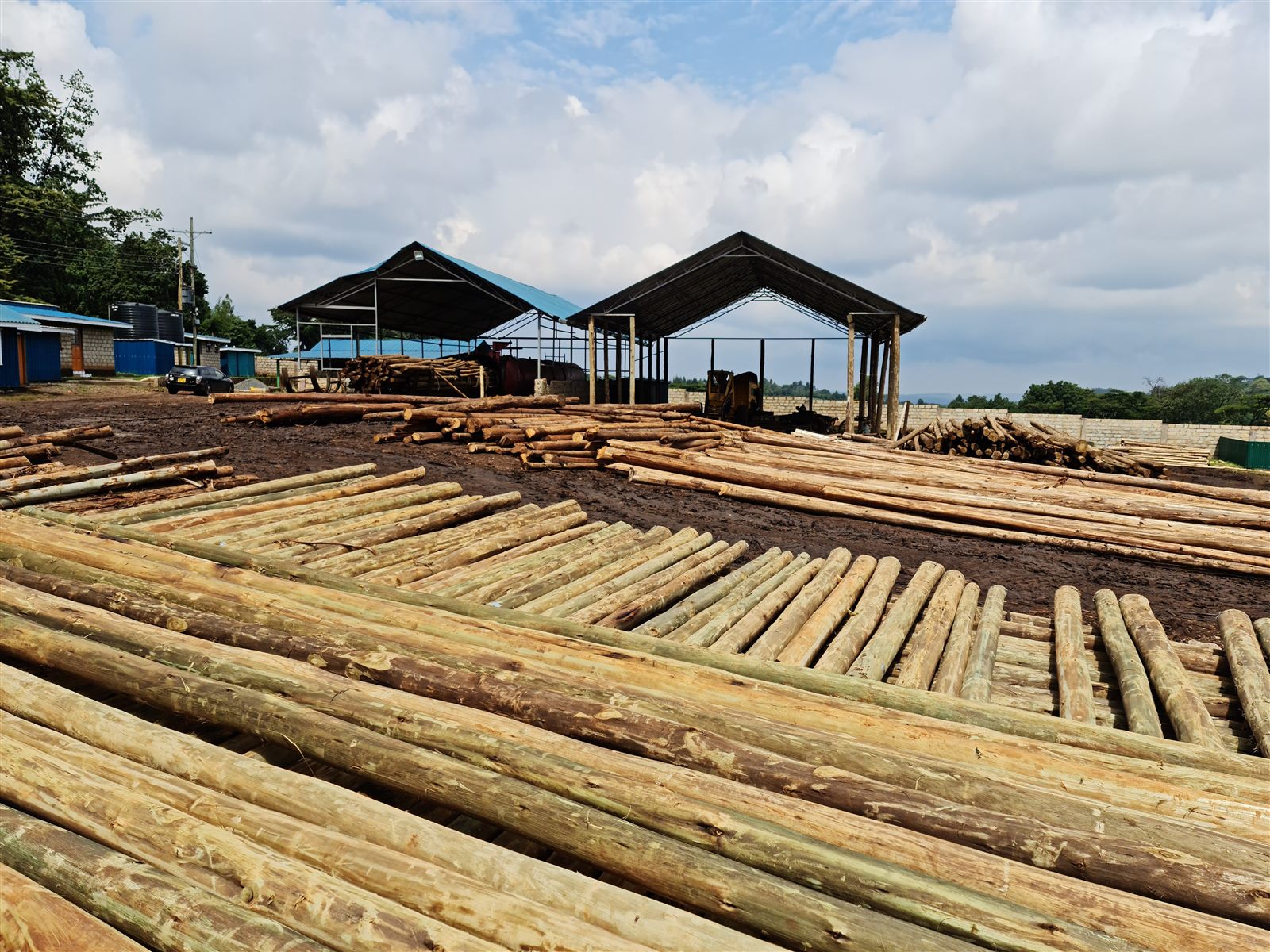 Brookewood pole yard in Kericho County